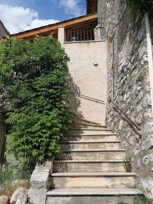 La Maison De La Vigne Bauduen Eksteriør billede