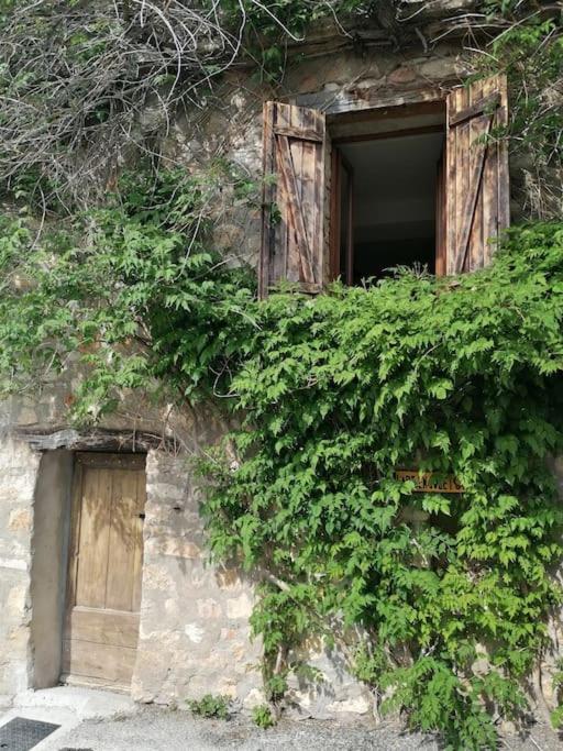 La Maison De La Vigne Bauduen Eksteriør billede